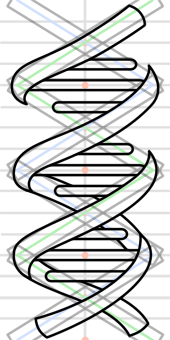 170x340 dna sequencing step