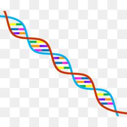 260x260 Dna Png