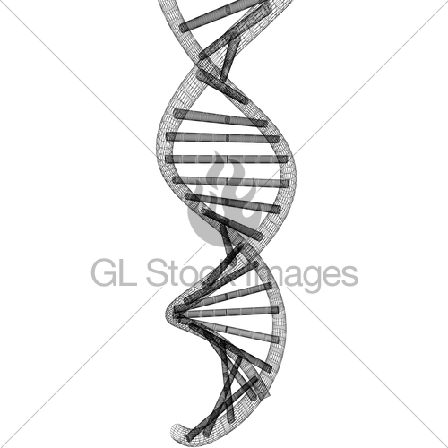 500x500 Dna Structure Model Gl Stock Images