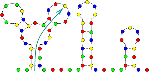 638x305 Draw Rna Secondary Structure Or Lollipop Without The Sequence
