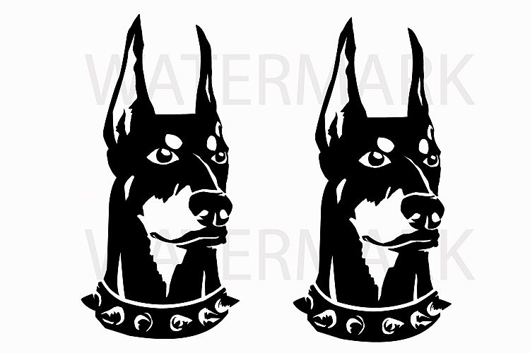 750x500 doberman black