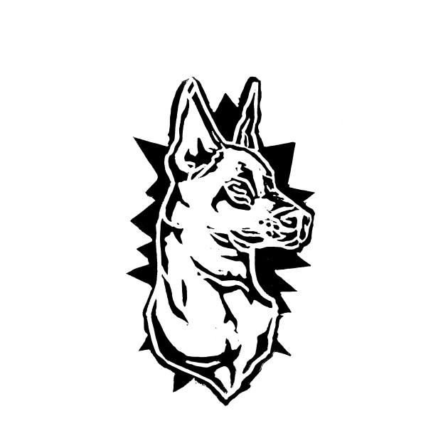 630x630 doberman pinscher