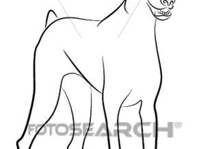 640x480 doberman pinscher clipart black and white