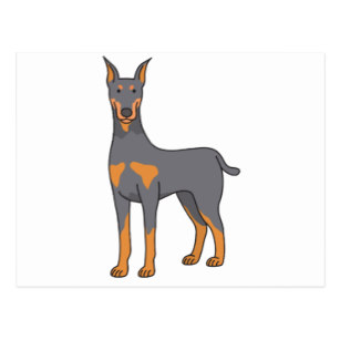 307x307 Doberman Sketch Gifts On Zazzle
