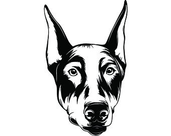 Doberman Drawing | Free download on ClipArtMag