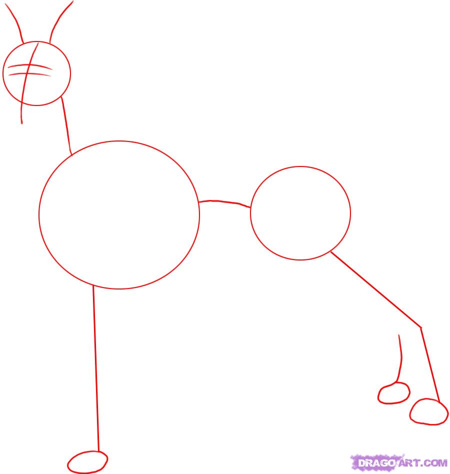 900x948 How To Draw A Doberman, Step