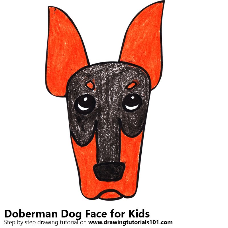 800x800 Learn How To Draw A Doberman Dog Face For Kids