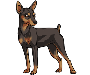300x250 collection of free doberman drawing cartoon download on ui ex