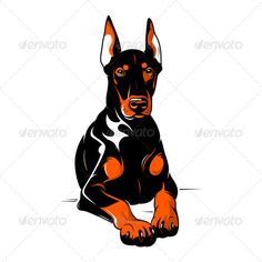 Doberman Pinscher Drawing