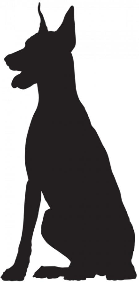 450x912 doberman pinscher cliparts
