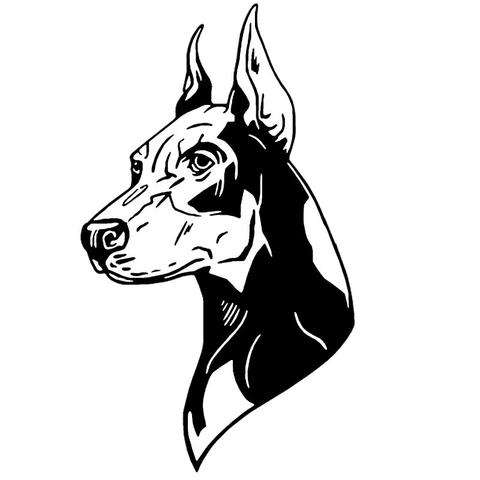 480x480 doberman pinscher car sticker the top dog deals