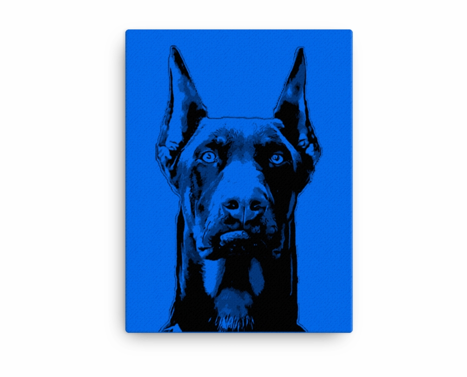 920x743 doberman pinscher duotone comic canvas