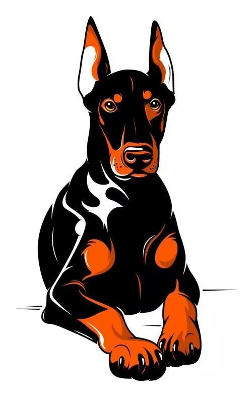 500x787 doberman art my dogs doberman, dogs, doberman pinscher