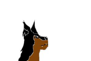300x200 how to draw a doberman pinscher dog