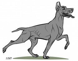 250x196 Rebel Drawing Doberman, Picture