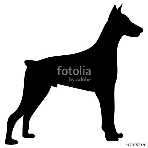 500x500 silhouette of a dog vector illustration of doberman pinscher