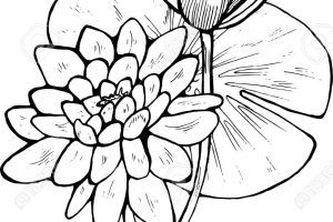 300x200 los angeles dodgers clipart clipart portal