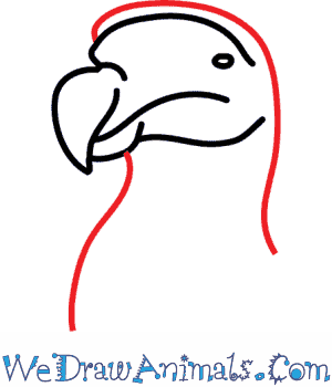300x350 How To Draw A Dodo