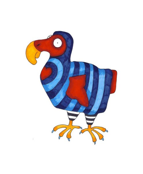 495x600 Dodo Drawings Fine Art America