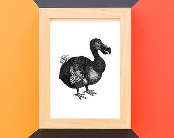 340x270 Dodo Drawing Etsy