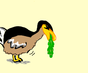300x250 Dodo With Stomach Problems