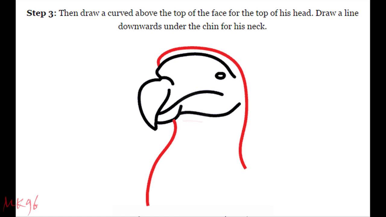 1280x720 How To Draw A Dodo