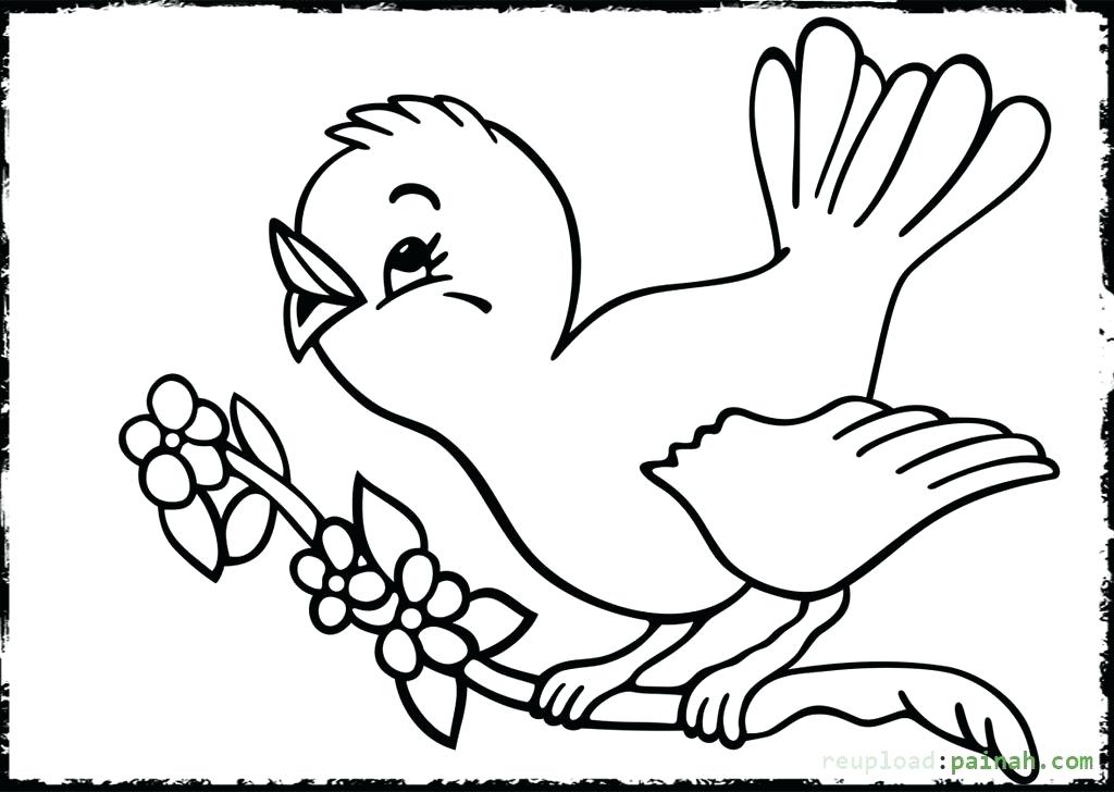 1024x728 Coloring Pages Halloween Pumpkin For Adults Flowers To Print Bird