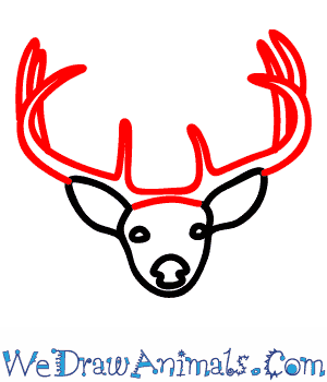 300x350 How To Draw A Buck Deer