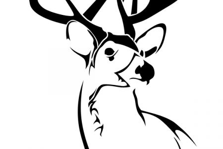450x300 Hunting Clipart Doe Head