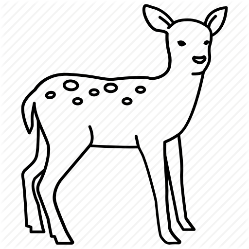 512x512 mammal drawing fawn transparent png clipart free download