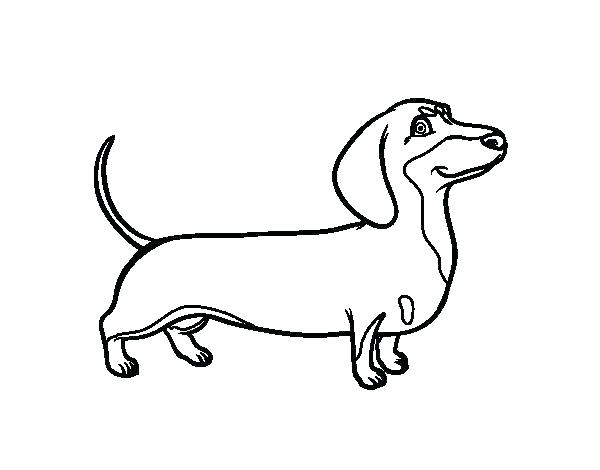 600x470 Dog Coloring Book