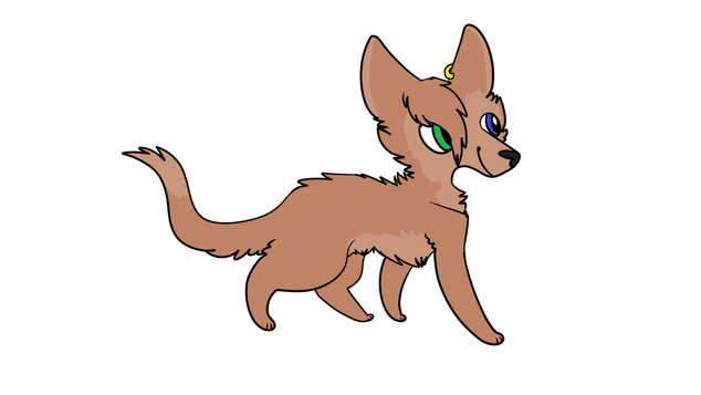 634x357 Collection Of Free Coyote Drawing Anatomy Download On Ui Ex