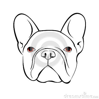 400x400 Bulldog Dog Animal French Illustration Pet Breed Cute Drawing