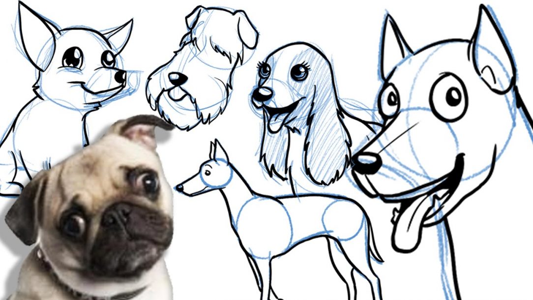 1084x610 Drawing A Cartoon Dog Step