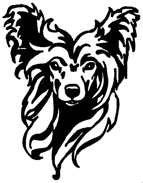 480x613 kitajtcy chinese crested dog, dogs, chinese