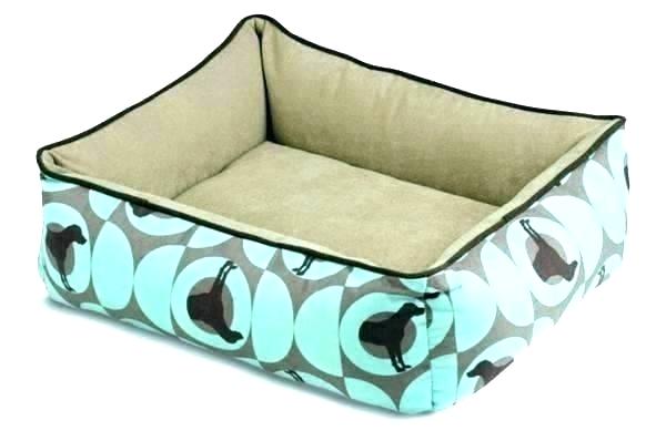 600x398 Crypton Dog Bed Brown Ears Rectangle Doodle Drawing Bolster