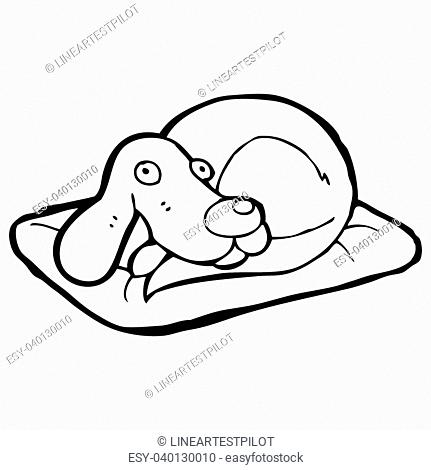 431x470 Doodle Dog Bed Stock Photos And Images Age Fotostock