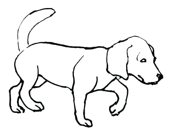 579x451 Coloring Pages Black And White Coloring Pages Of Dogs Lab Dog