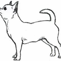 250x250 Dog And Paintings Drawing Bad Base Color Step