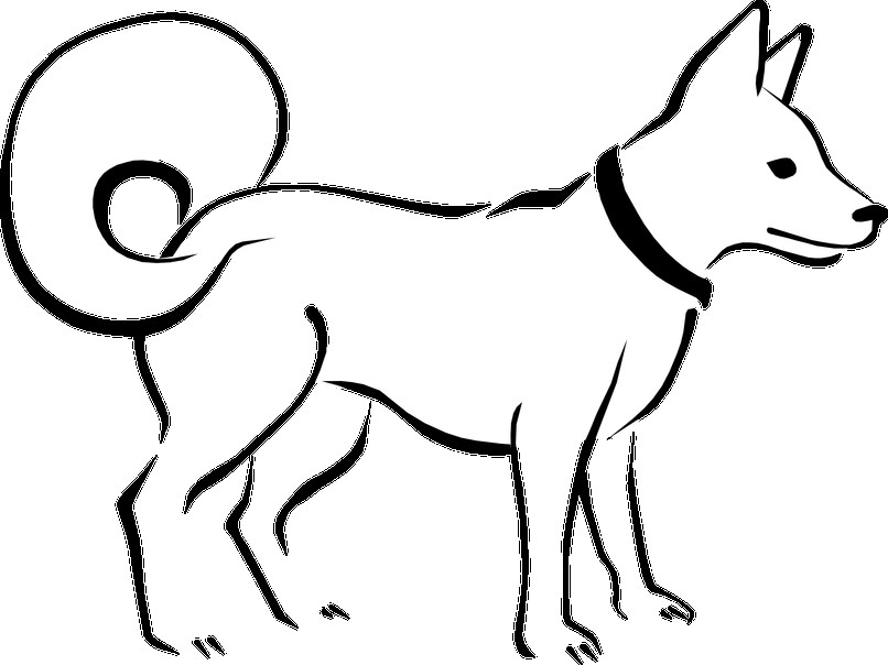 806x604 Black And White Dog Drawing Pet Animals Clipart Black