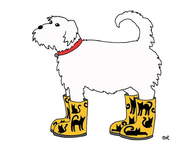 600x499 Dog Cat Drawings