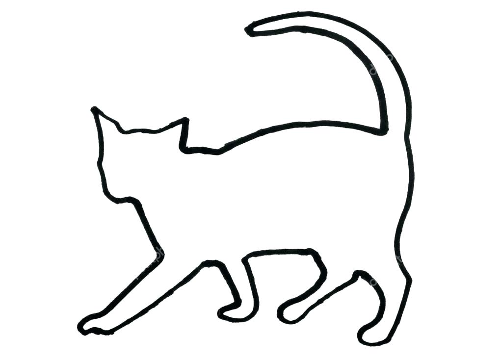 1023x734 Outline Of A Cat Dog Cat Outline Drawing