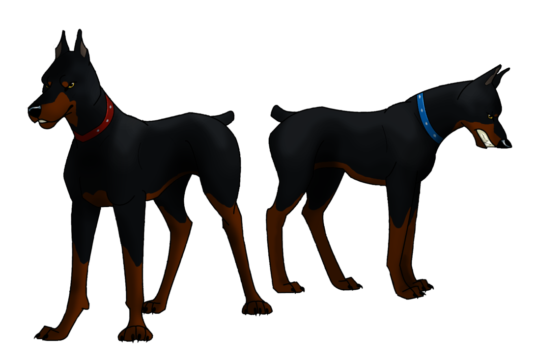 1093x731 Collection Of Free Doberman Drawing Charcoal Download On Ui Ex