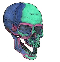 250x259 Cow Skull Drawing Tumblr