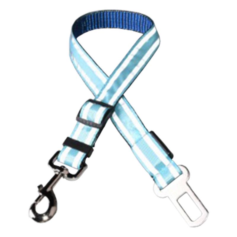 800x800 Detail Feedback Questions About Led Light Up Dog Leash Night