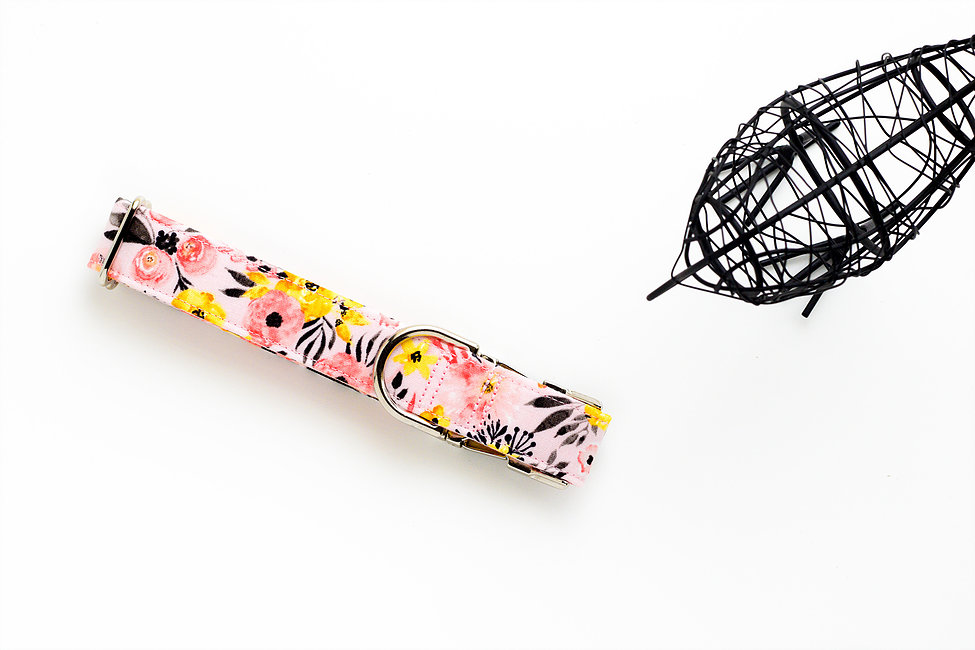 975x650 Dog Collar United States Dream N' Design