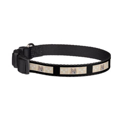 422x422 Finnish Spitz Pet Collar