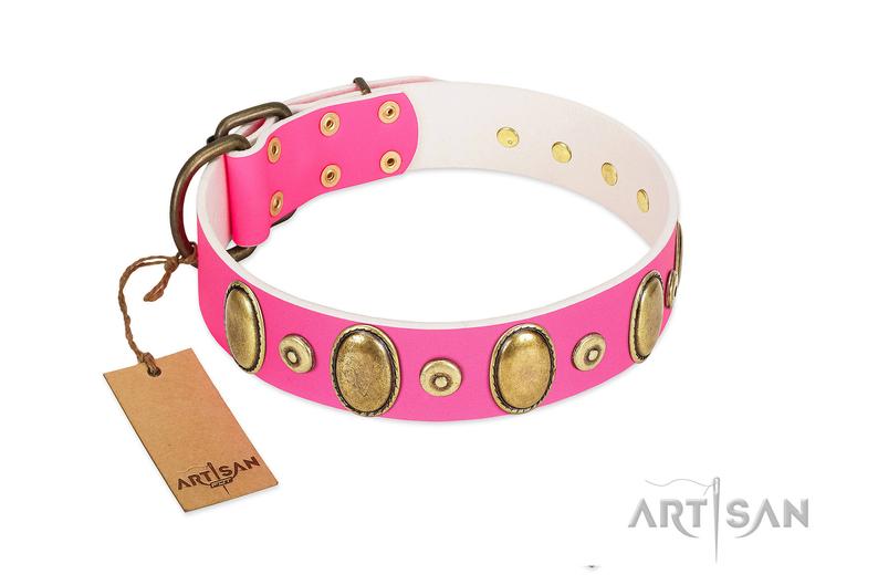 794x529 Pink Leather Dog Collar With Ovals Drawing Power Etsy
