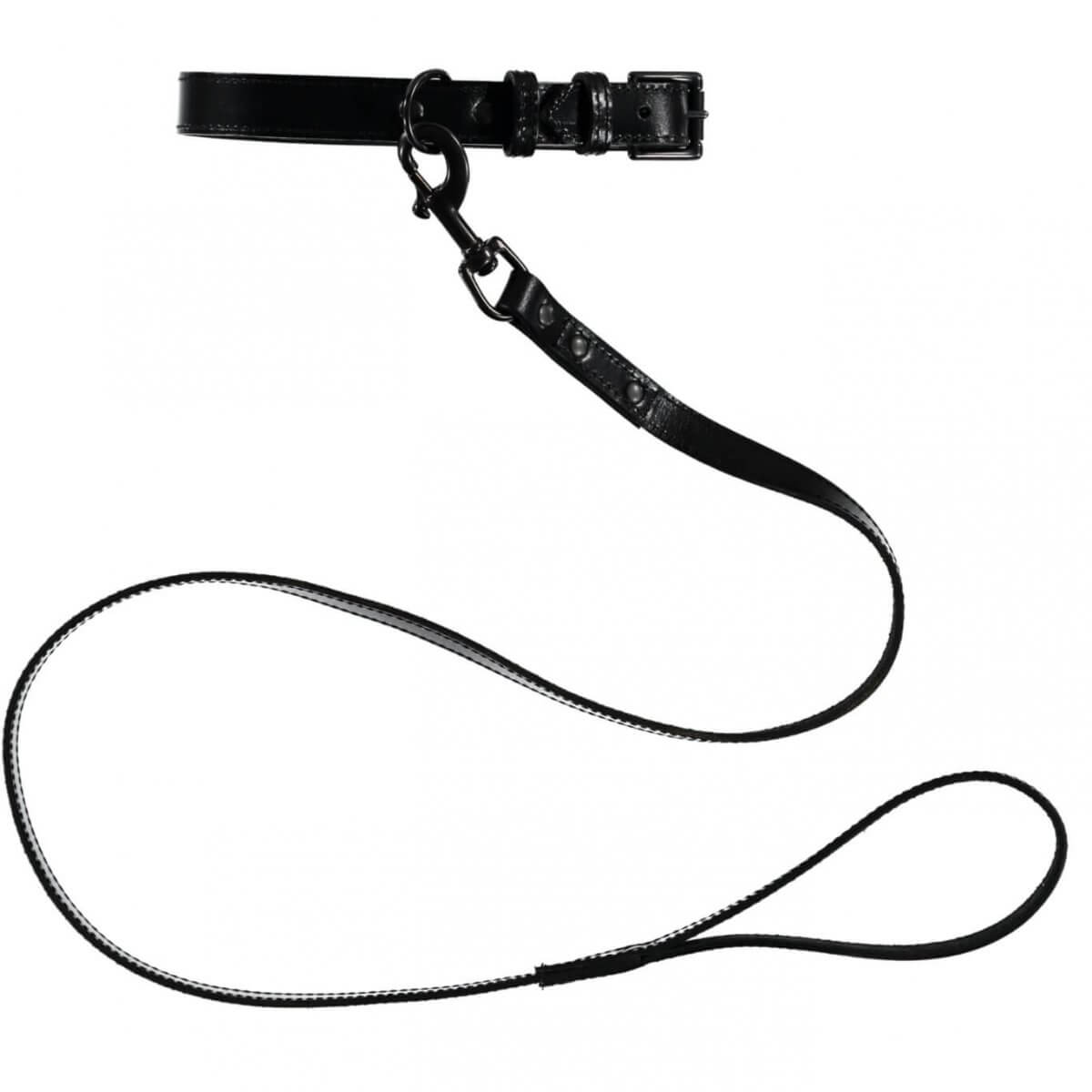 1200x1200 Camden Dog Collar Black