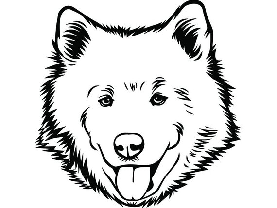 570x429 Huge Collection Of 'happy Dog Drawing' Download More Than